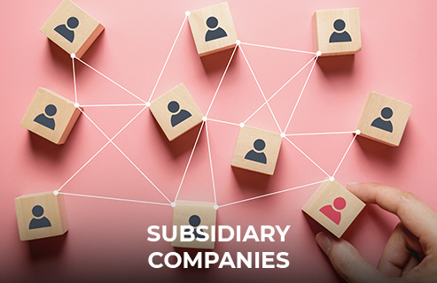 Subsidiary companies