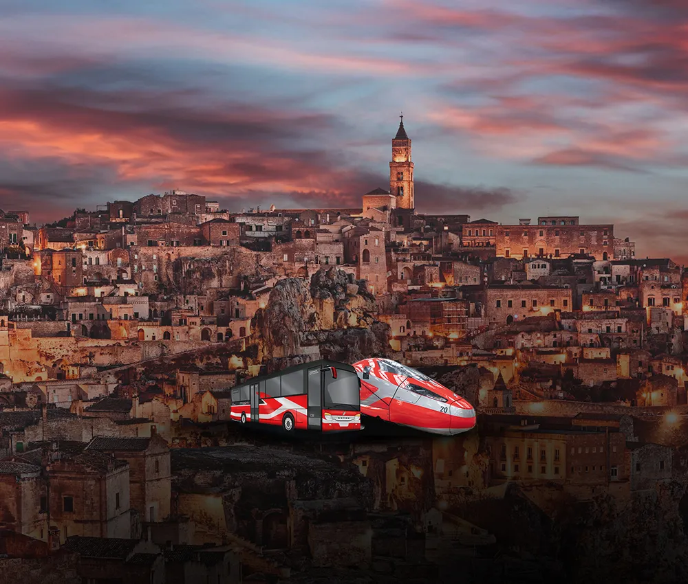 FrecciaLink