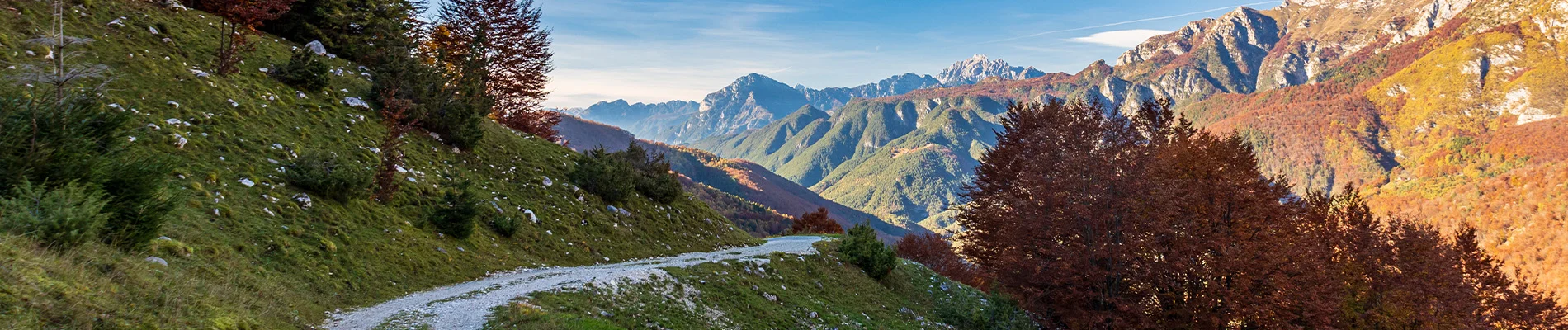Raggiungi Resiutta con Regionale