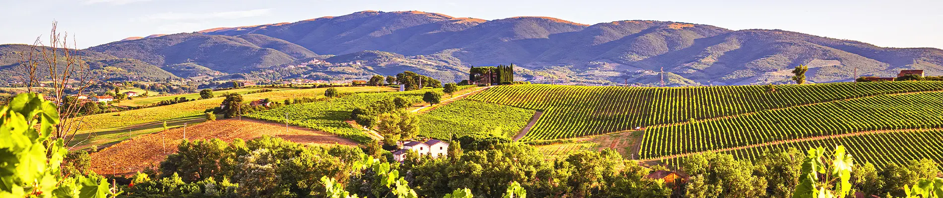 Montefalco-Bevagna Link