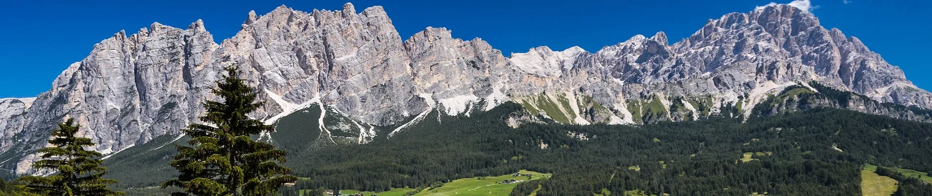 Cortina Link