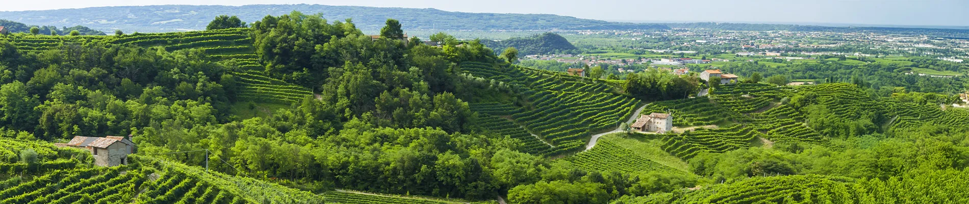 Colli Euganei Link