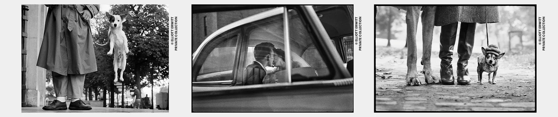 Mostra Elliott Erwitt. Icons
