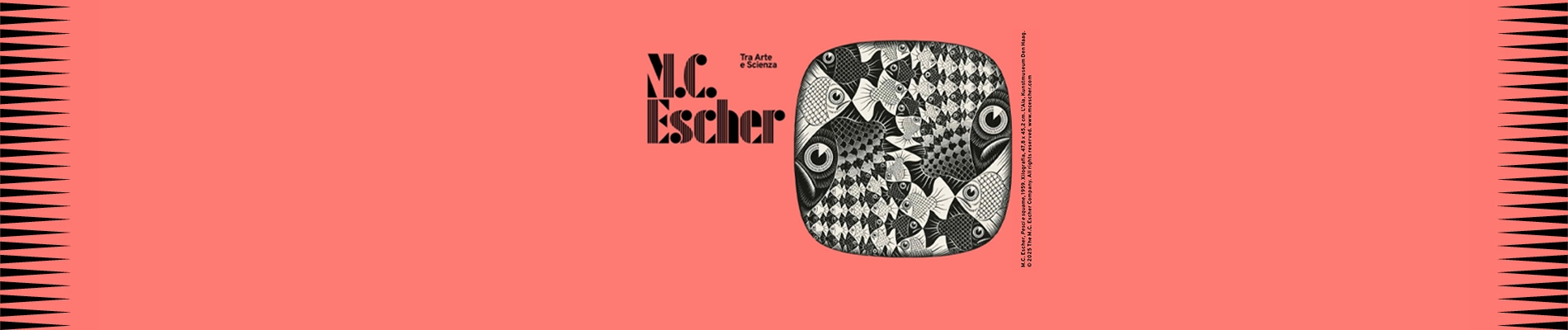 Mostra M.C. Escher. Tra arte e scienza