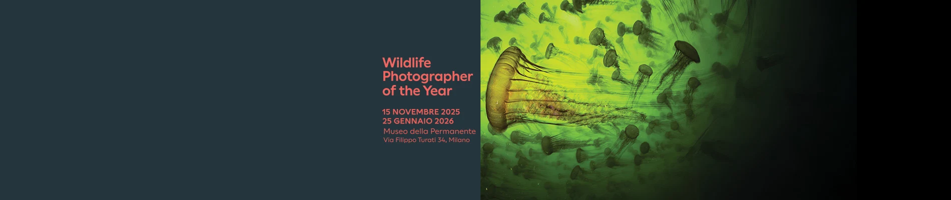 Wildlife Photographer of the Year