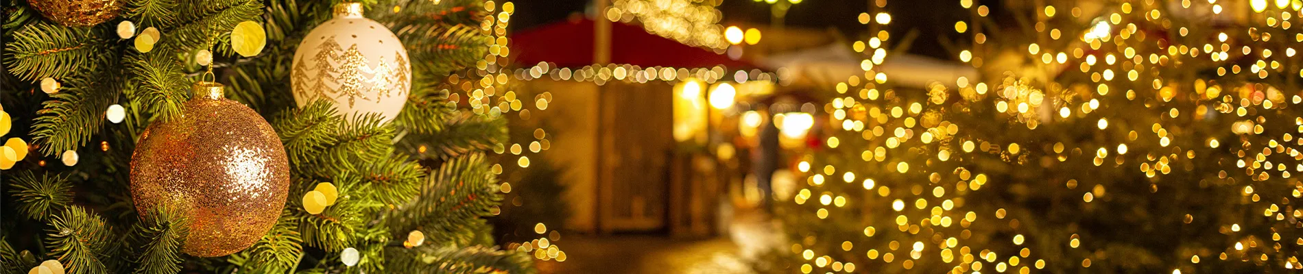 Mercatini di Natale con Intercity