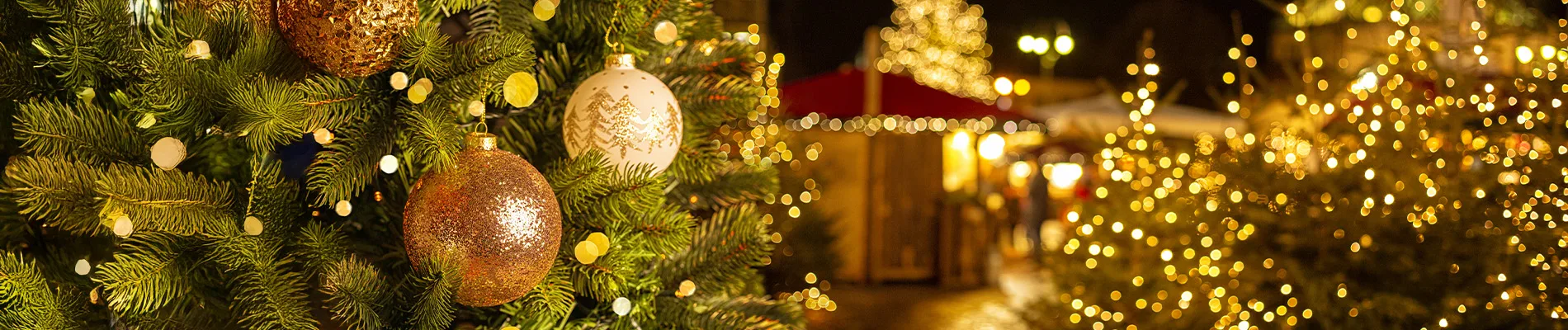 Mercatini di Natale con Intercity