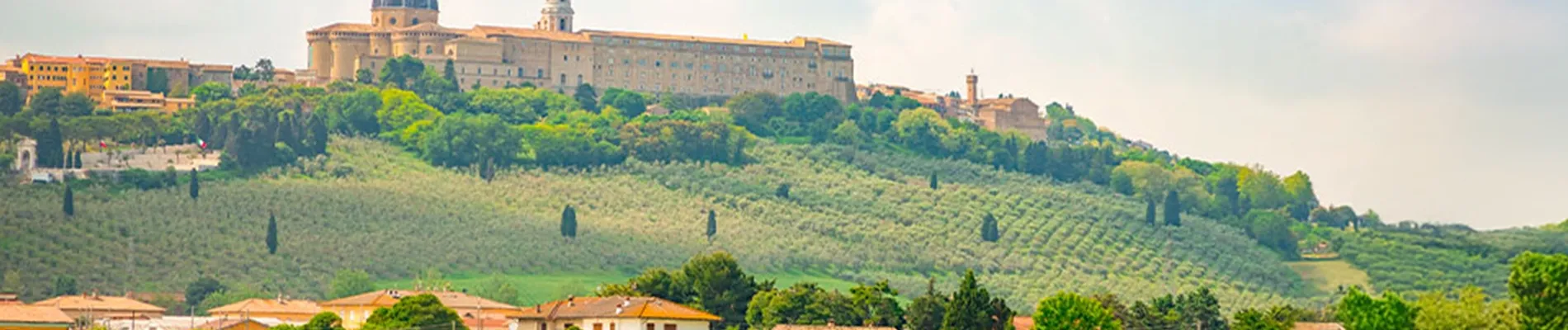 Marche