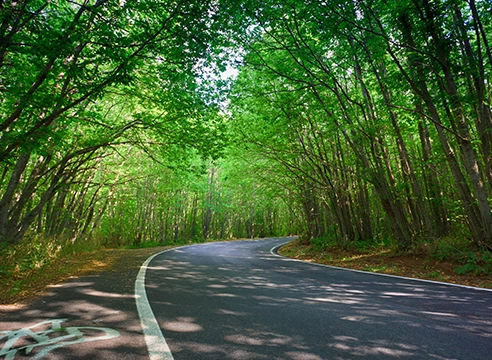 La ciclovia dei parchi, Calabria