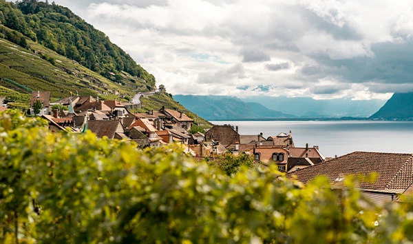 Montreux, Vevey e Lavaux