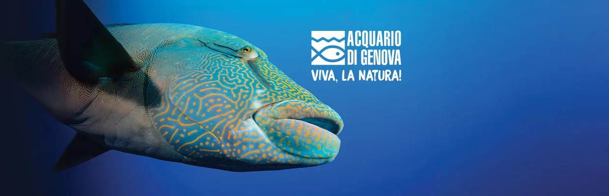 Visita l'Acquario di Genova
