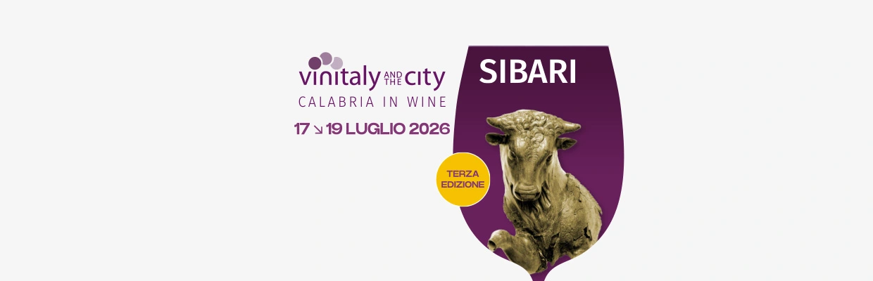 Vinitaly and the city,