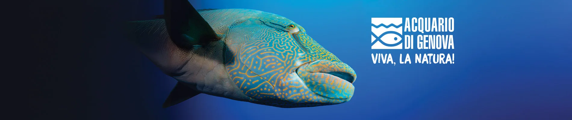 Visita l'Acquario di Genova
