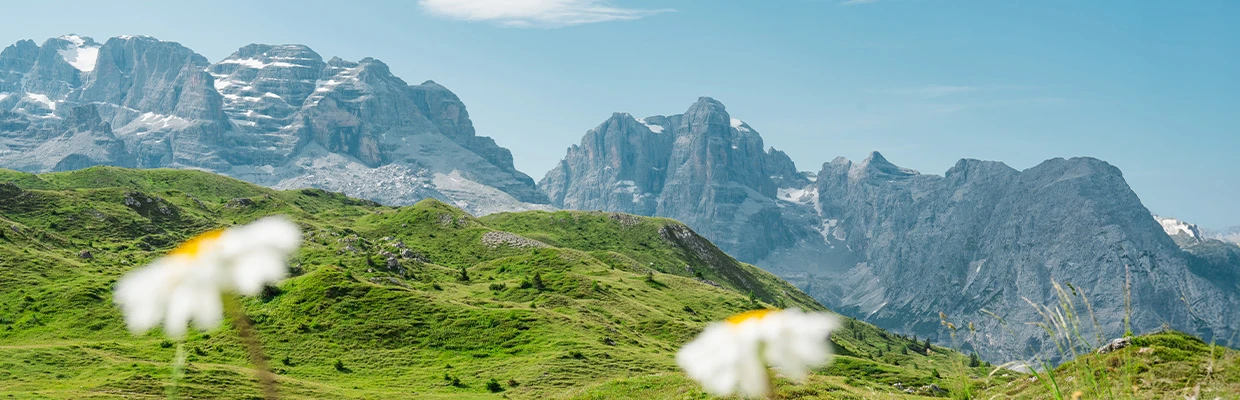 Comprensorio Madonna di Campiglio
