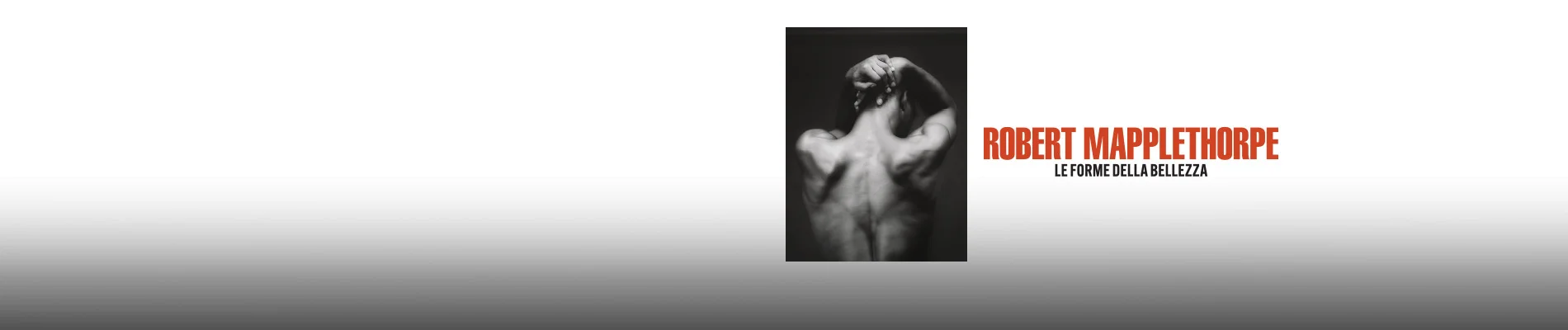 Robert Mapplethorpe