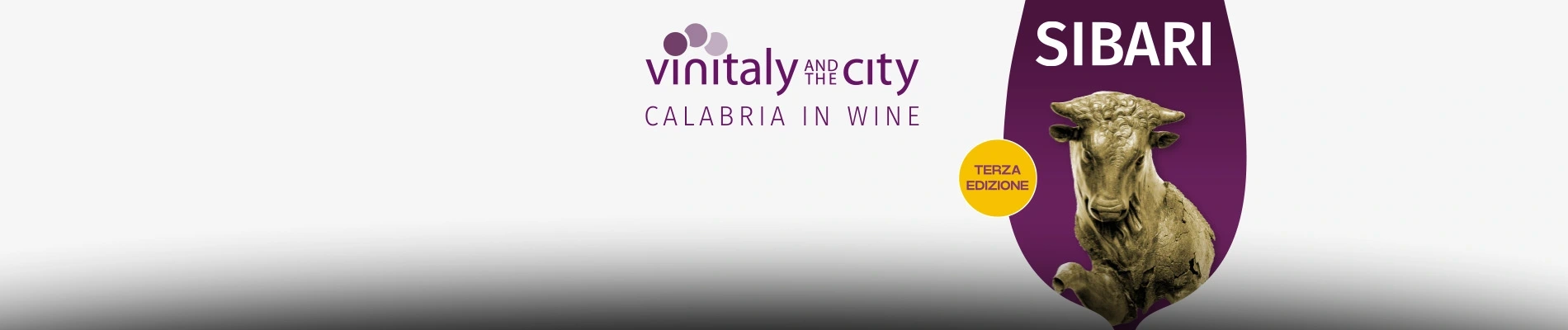 Vinitaly and the city,